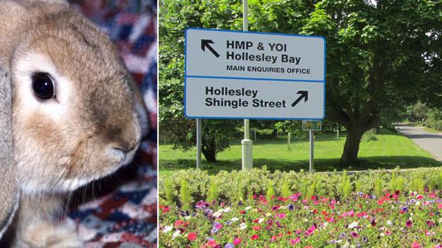 A rabbit and HMP Hollesley Bay sign
