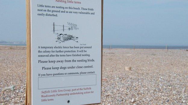 Sign on Kessingland beach