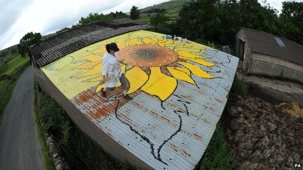 Giant sunflower on a farmer's shed roof