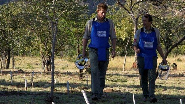 Prince Harry and Guy Willoughby walking through a field