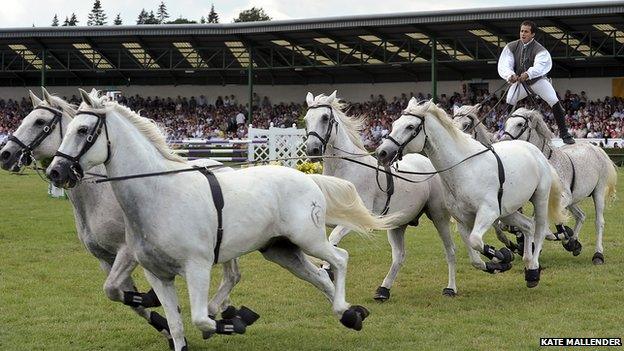 Equestrian acrobatics