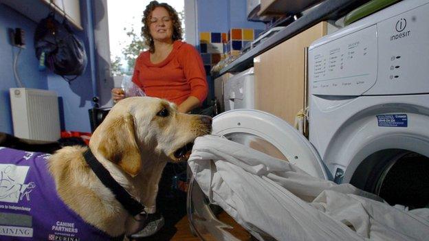 Dog getting washing out of the washing machine