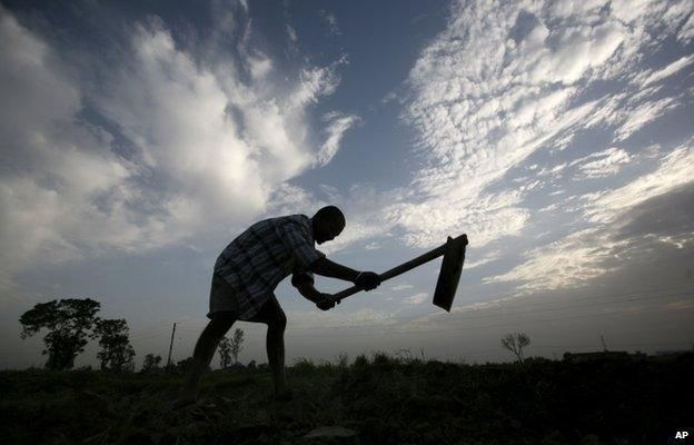 India farmer