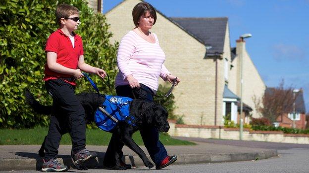 Autism dog crossing the road with teenage boy and his mum