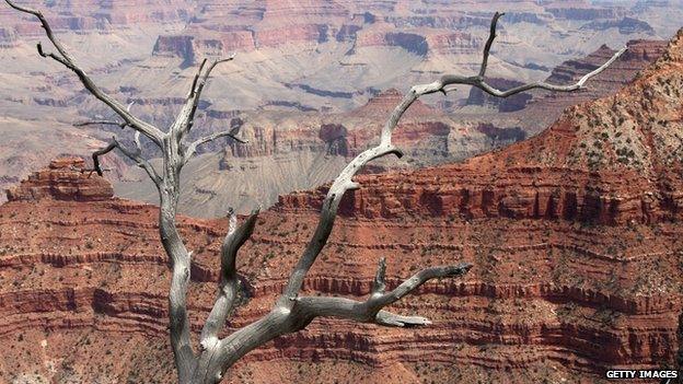 A view of the Grand Canyon