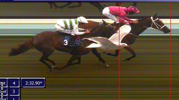 Photo finish at Brighton