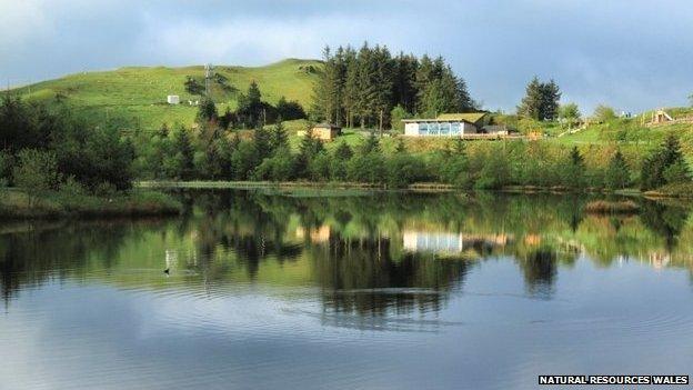 Bwlch Nant yr Arian