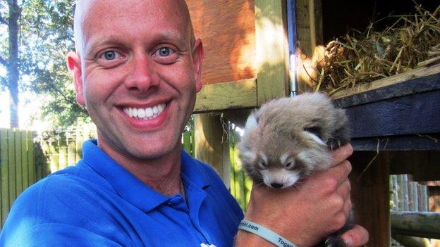 Mark Kenward with one of the red panda cubs