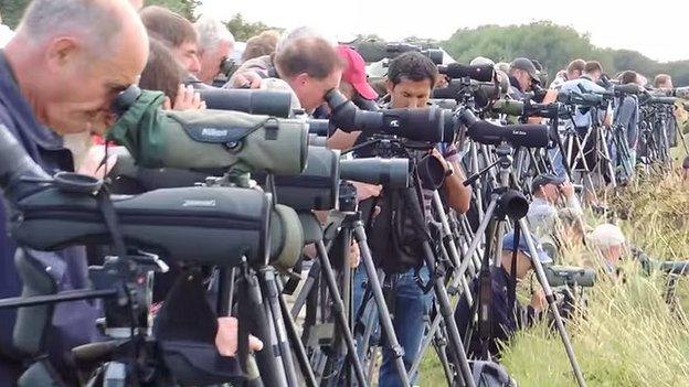 Twitchers at Breydon Water scoping out the Great Knot