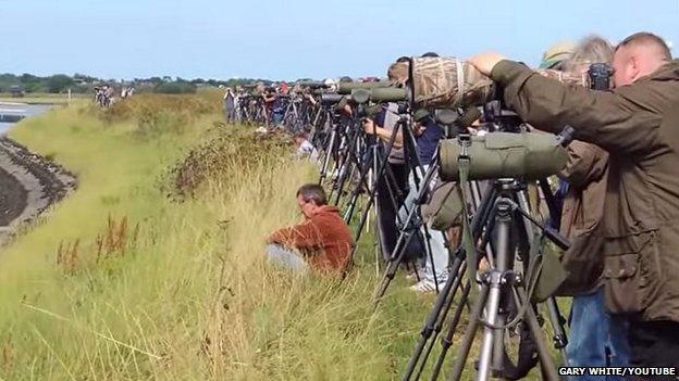 Twitchers at Breydon Water