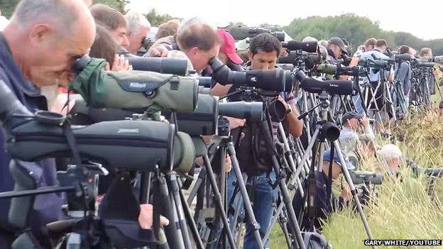 Twitchers at Breydon Water scoping out the great knot