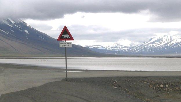 A polar bear warning sign on Svalbard