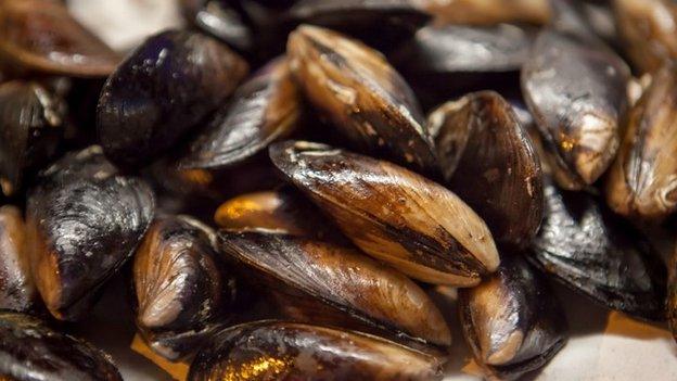 Mussels in their shells. Pic: Thinkstock