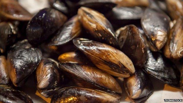 Mussels in their shells. Pic: Thinkstock