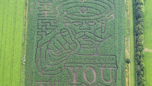 Maize maze in Cambridgeshire