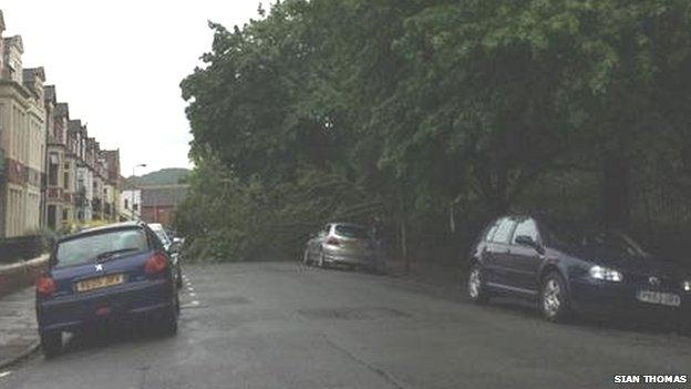 Tree down in Victoria Park Road East, Cardiff