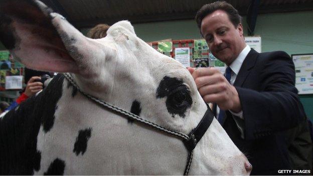 David Cameron at the Bath And West Show (file pic)