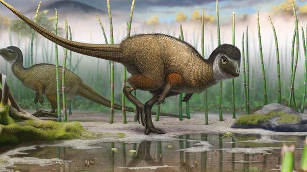 Reconstruction of Kulindadromeus zabaikalicus, from the Jurassic of Siberia, in its natural