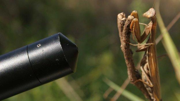 Frankencam shooting a mantis