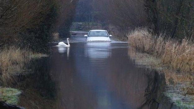 The plans aim to prevent roads on the Somerset Levels becoming closed to traffic during floods