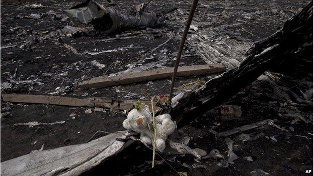 A teddy bear and a flower among the charred wreckage of a plane