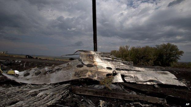 Flowers lie on the wrecked fuselage at the crash site of Malaysia Airlines Flight 17 near the village of Grabove, eastern Ukraine (22 July 2014)