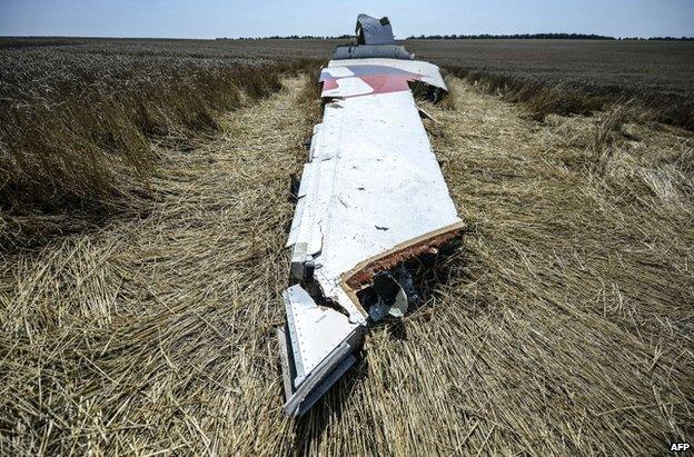 Wreckage from Flight MH17 in a field in east Ukraine, 23 July