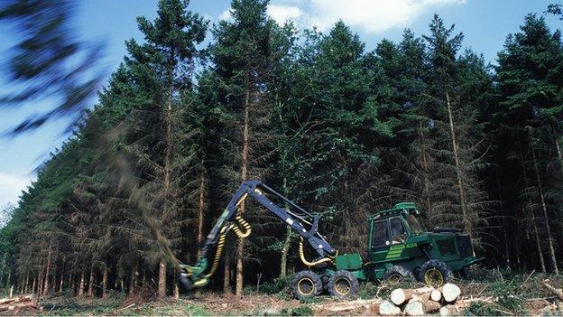 Commercial forestry