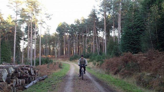 Cyclist in the New Forest