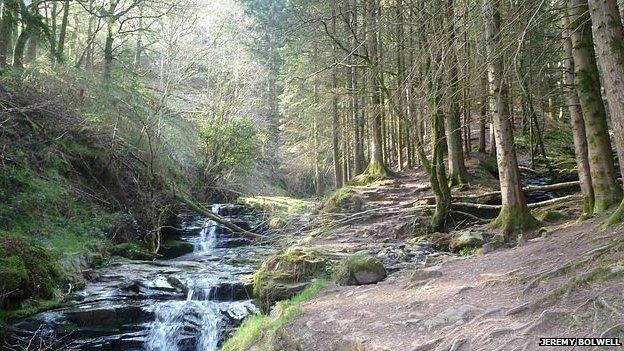 Woodland waterfalls near Abercynafon, Brecon