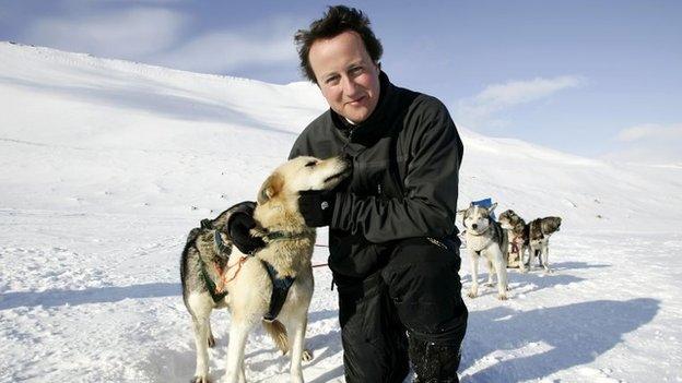 David Cameron with huskies