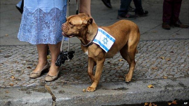 A dog wearing an Israeli flag on its collar attends a pro-Israeli rally in Berlin - 25 July 2014