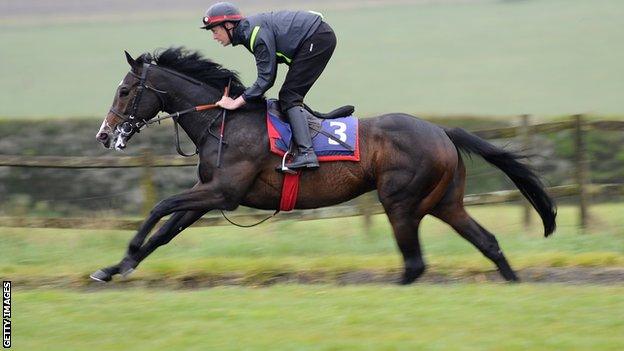 Toormore at Richard Hannon's stables