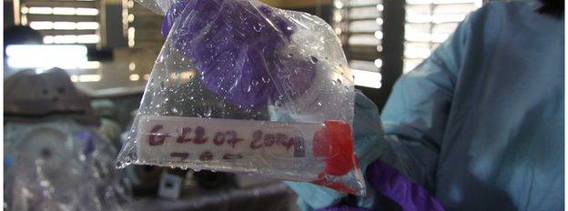 Ebola sample, Guinea