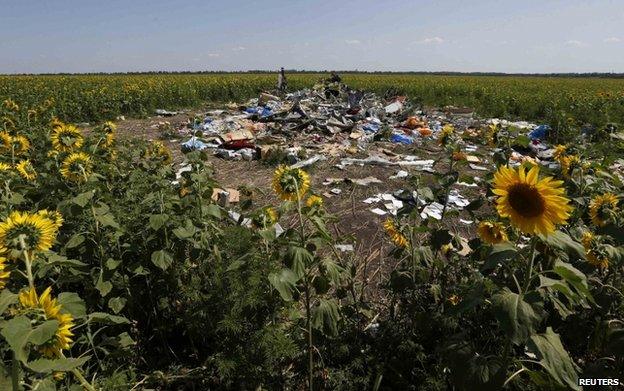 Debris at the site of the flight MH17 crash in eastern Ukraine, 26 July