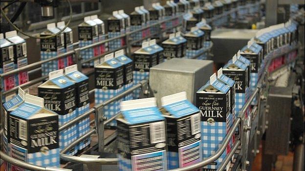 Milk being packaged in the Guernsey Dairy