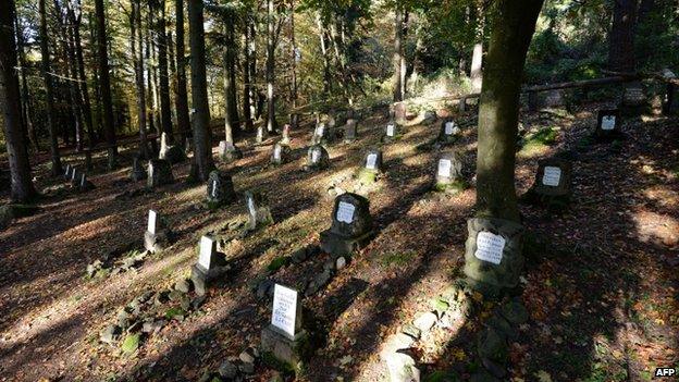 German graves in cemetery at Vieil Armand