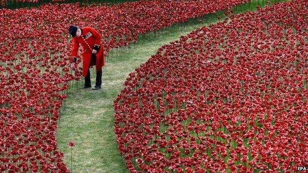 Poppies planted in the moat at the Tower of London