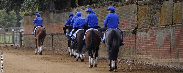 Godolphin based racehorses