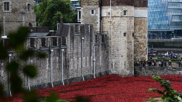 Tower of London poppies