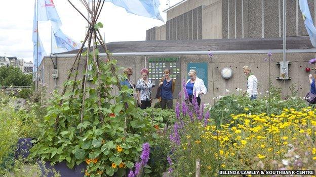 Southbank Centre's Roof Garden on Queen Elizabeth Hall