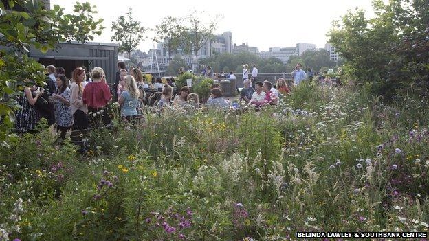 Southbank Centre's Roof Garden on Queen Elizabeth Hall