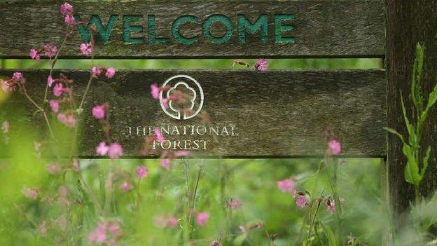 Welcome to The National Forest sign