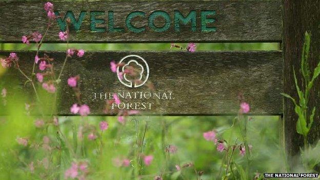 Welcome to The National Forest sign