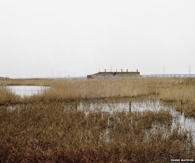 Rainham Marshes, 2012