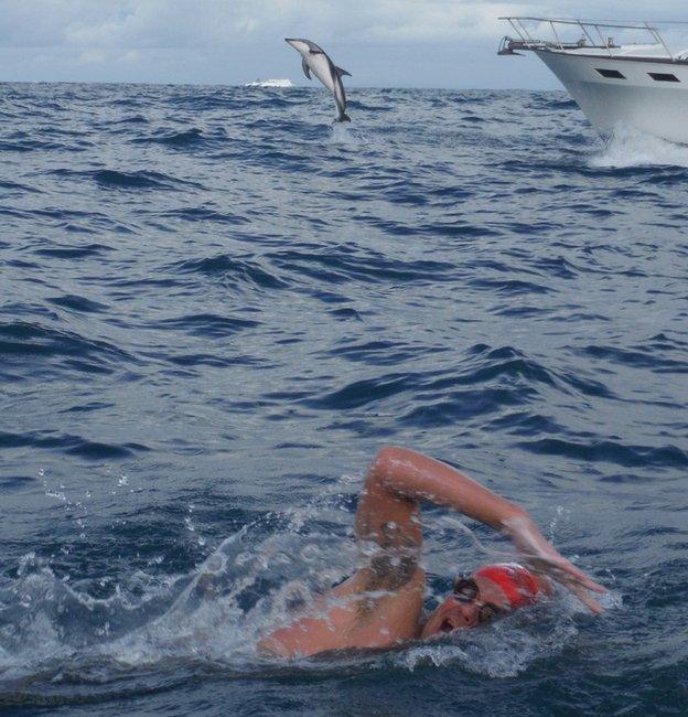 Adam Walker swimming in the Cook Strait