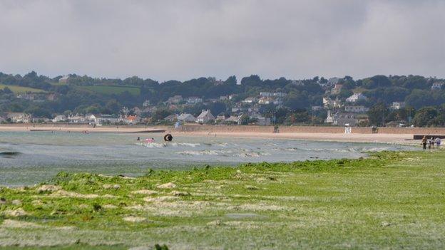 St Aubin's bay covered in Sea Lettuce