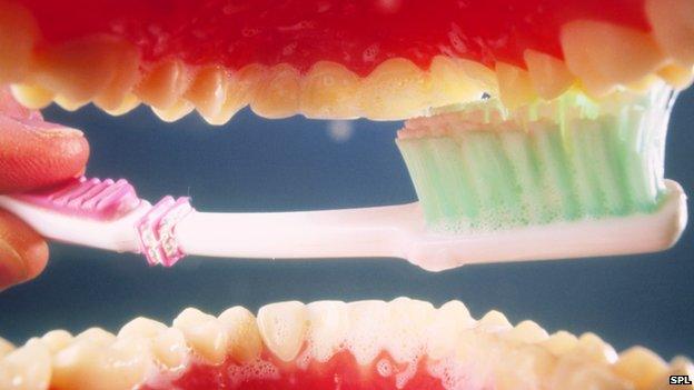 View of teeth-cleaning from inside the mouth