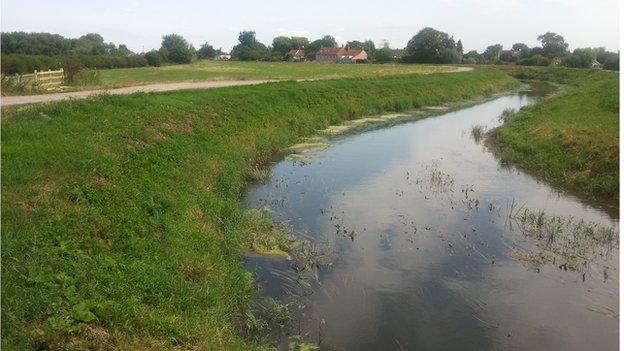 Heather Venn's land at Currymoor