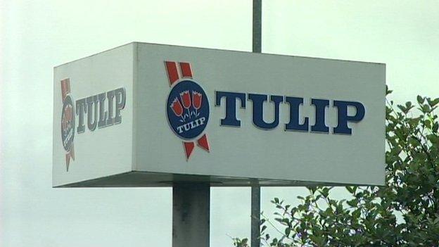 Tulip Ltd sign